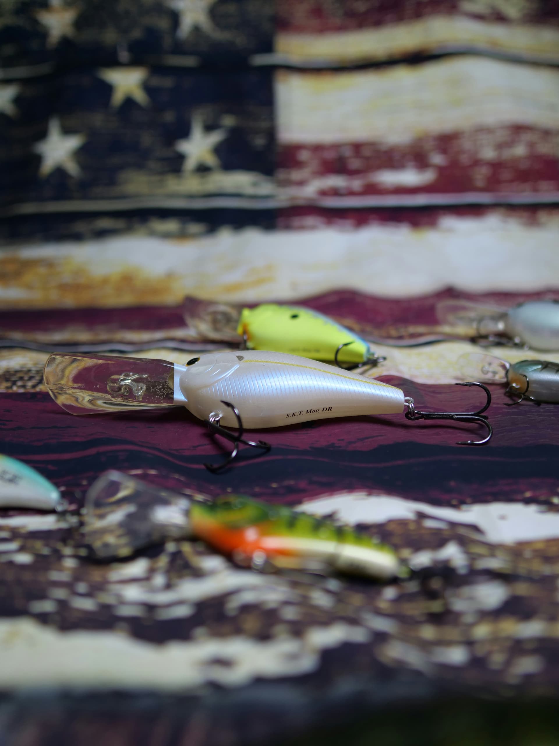 Best Bass Fishing Lures for Beginners (That Actually Catch Fish)