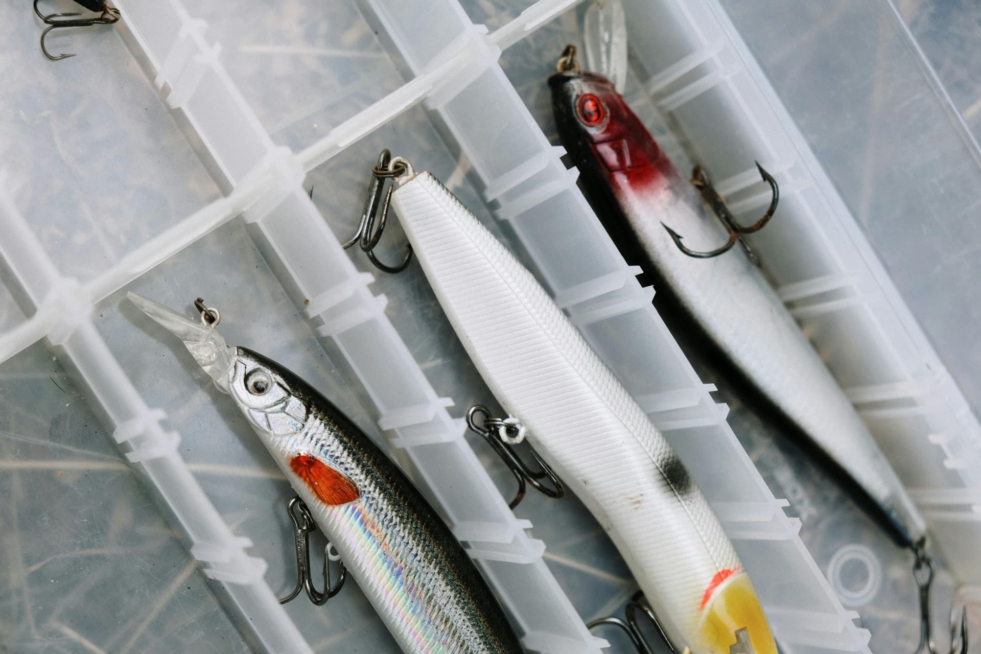 Best Rapala Lures for Bass: What Actually Works