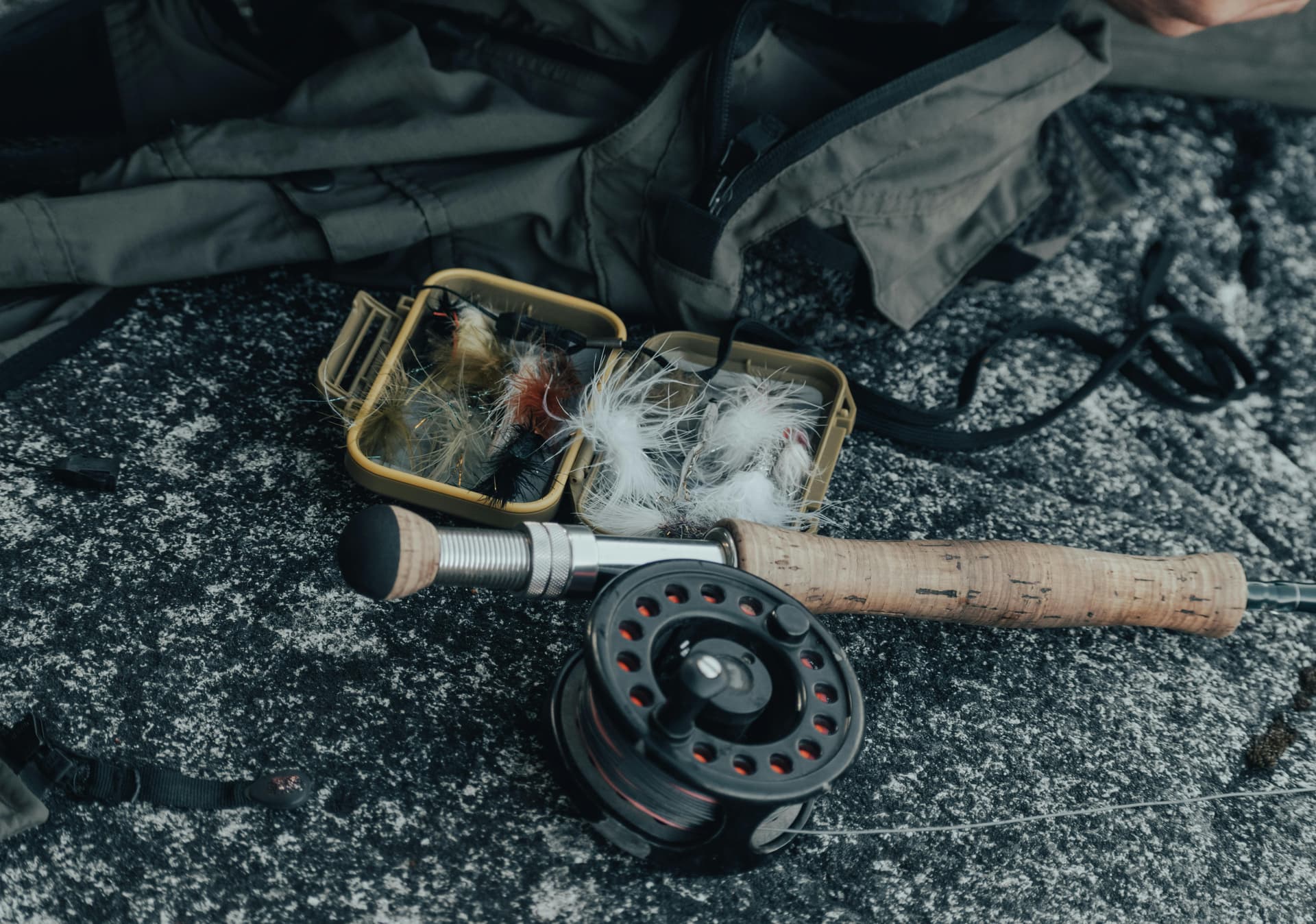 Best Fly Fishing Line for Beginners: What to Buy First